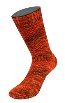 Eine Socke aus Meilenweit 100 Sooty Farbe 6225